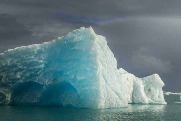 Iceland, Jokusarlon Blue iceberg